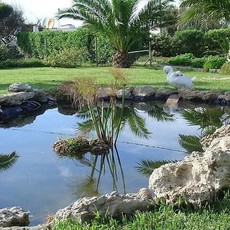 Bed & Breakfast Quinta Beira-mar Azenhas do Mar