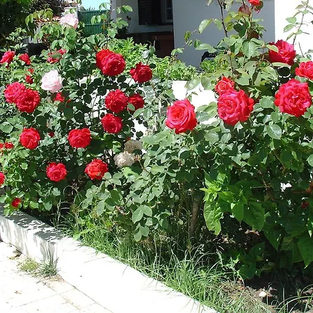 Bed & Breakfast Quinta Beira-mar