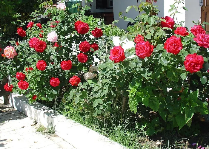 فندق مبيت وإفطار Quinta Beira-mar
