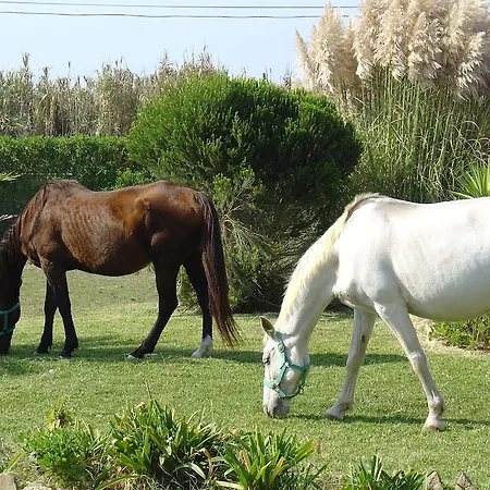 Bed and breakfast Quinta Beira-mar *