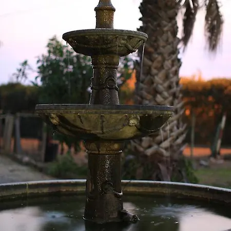 Alojamento de Acomodação e Pequeno-almoço Quinta Beira-mar *