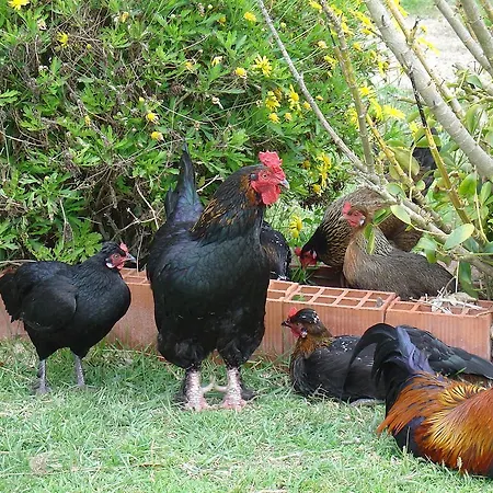 Quinta Beira-mar Azenhas do Mar